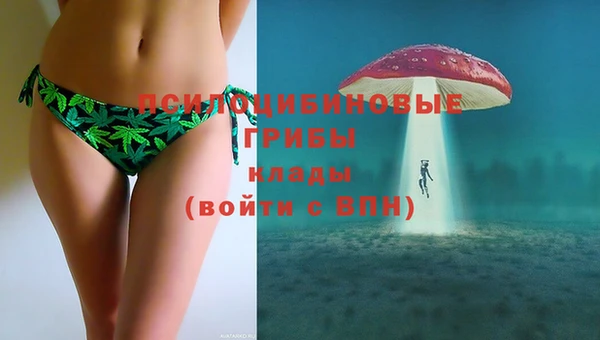скорость Ельня