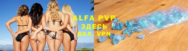 мяу мяу мука Елабуга