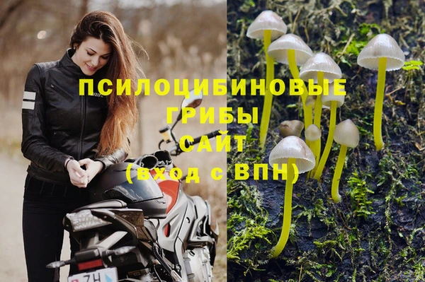 гашик Липки