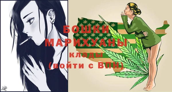 крисы Верея