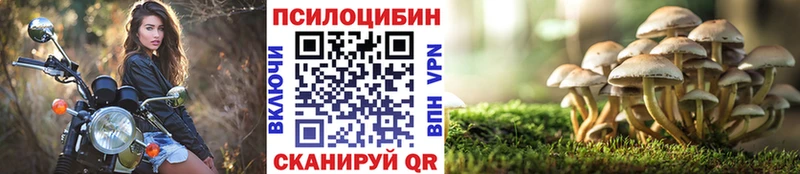 Галлюциногенные грибы MAGIC MUSHROOMS  Давлеканово 
